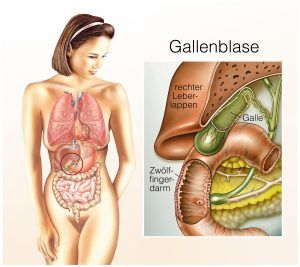 Gallenblase
